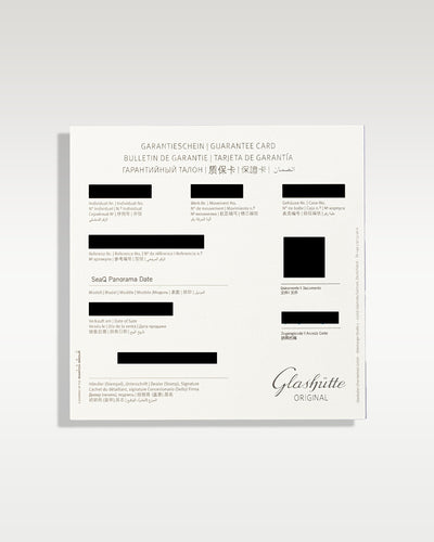 Glashutte Watches-Glashutte Seaq Panorama Date 13613028134