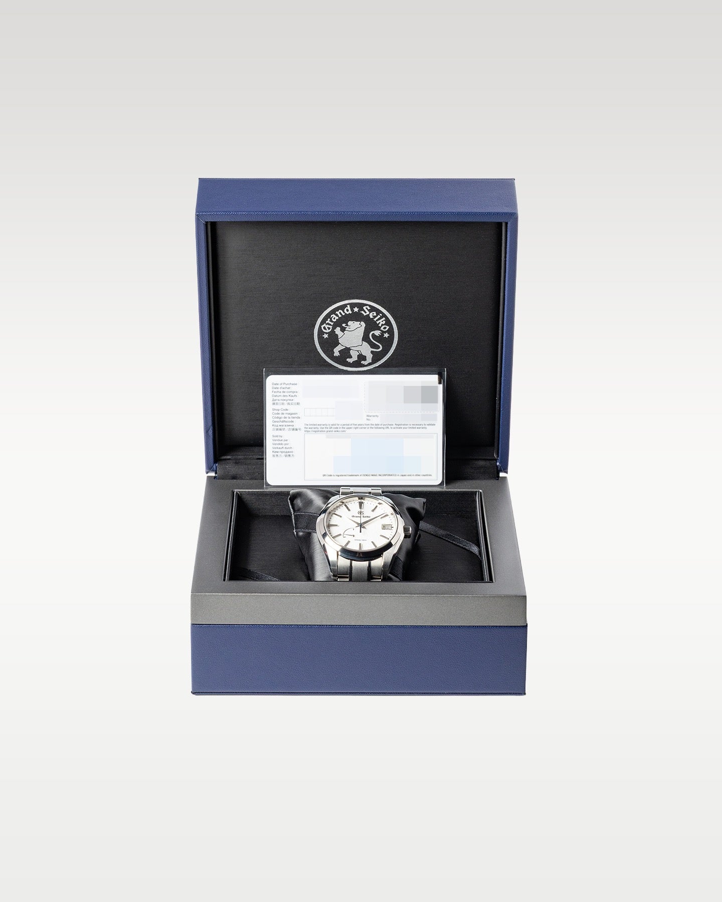 Titanium Grand Seiko Spring Drive Snowflake SBGA211G | Grand Caliber