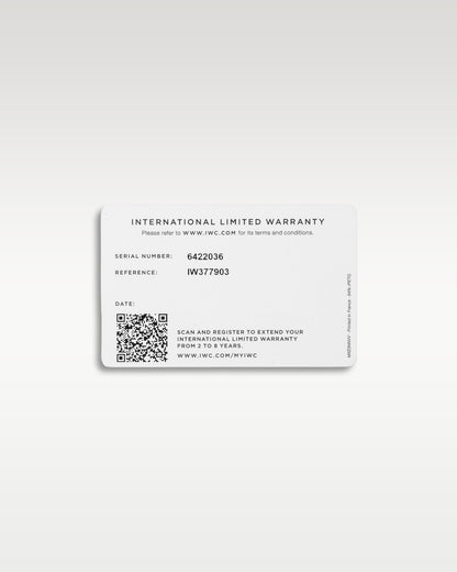 IWC Pilot’s Watch Chronograph Edition "AMG" IW377903 | Grand Caliber Texas