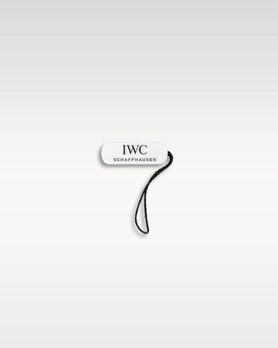 green IWC Portugieser Chronograph IW371615 | grand caliber texas