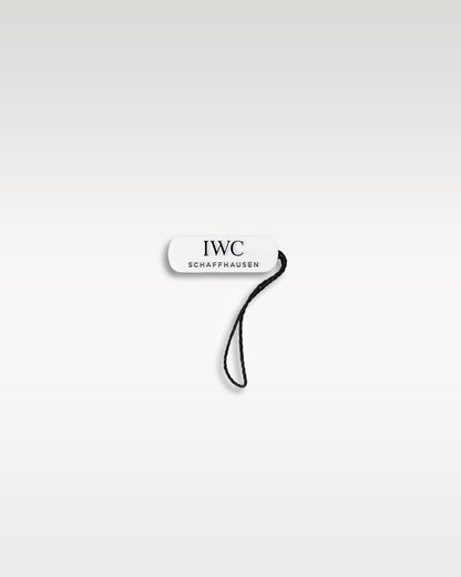 green IWC Portugieser Chronograph IW371615 | grand caliber texas