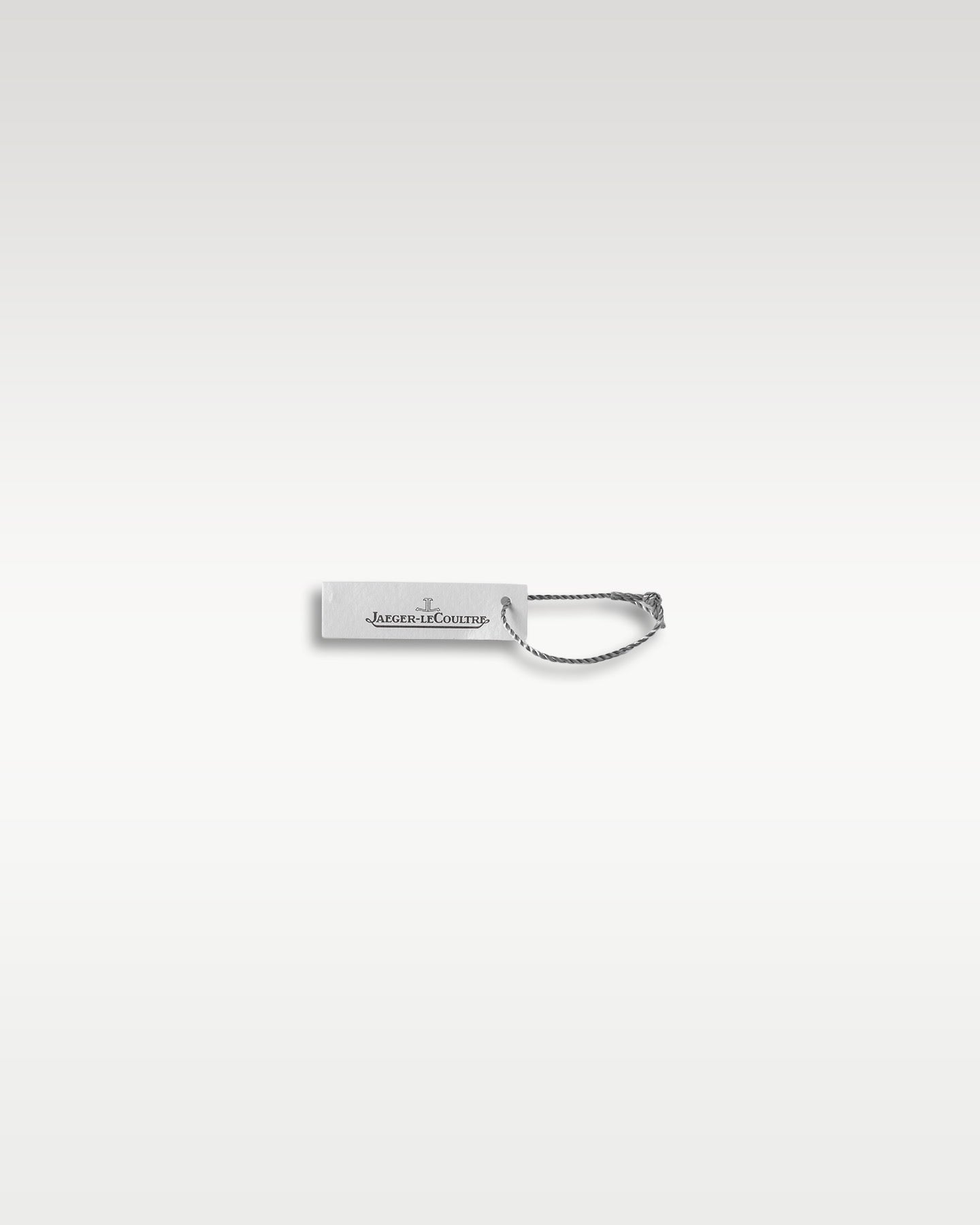 Gray Jaeger-LeCoultre Polaris Chronograph Q902843J | Grand Caliber