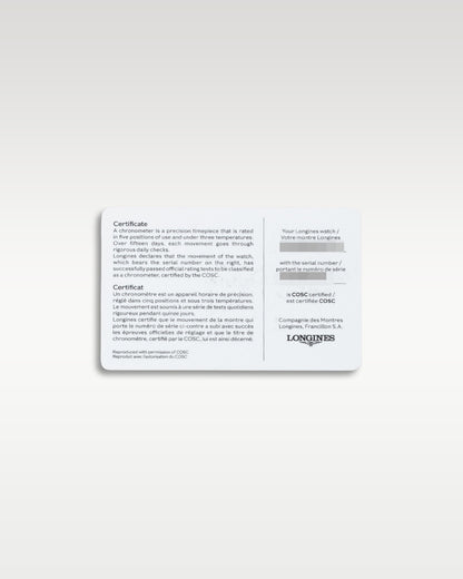 Longines Spirit Zulu Time Automatic 39mm L3.802.4.63.6