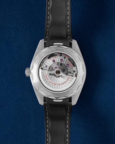 Grey Omega Aqua Terra Worldtimer 220.92.43.22.99.001 | Grand Caliber TX