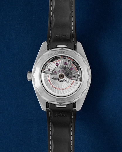 Grey Omega Aqua Terra Worldtimer 220.92.43.22.99.001 | Grand Caliber TX