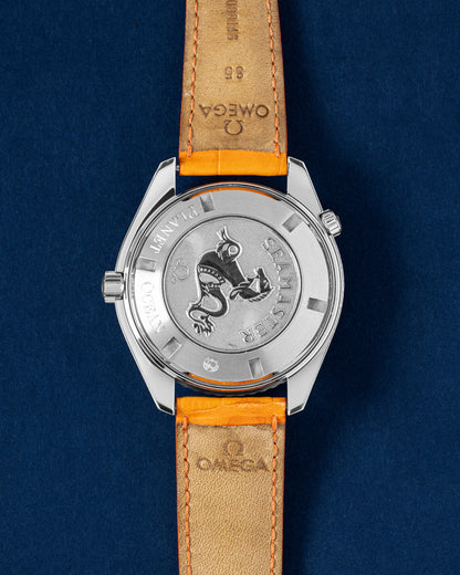 Omega Planet Ocean 46 2908.50.91 | Grand Caliber Watches