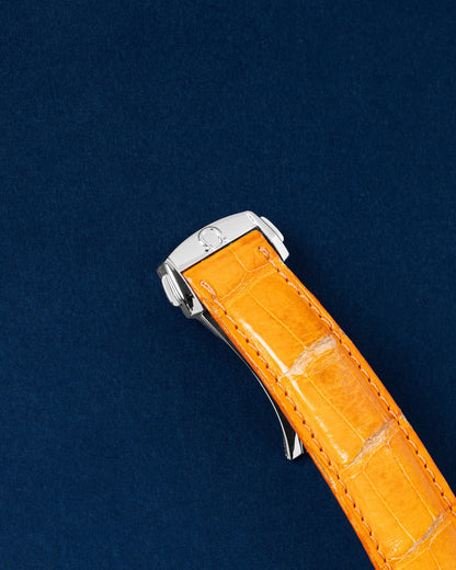 Omega Planet Ocean 46 2908.50.91 | Grand Caliber Watches