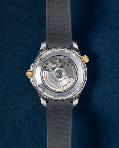 Omega Seamaster 210.22.42.20.01.001