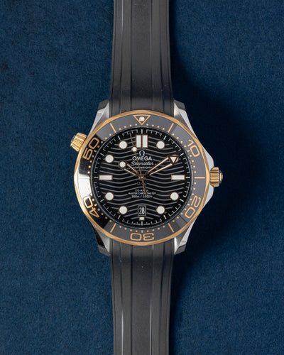 Omega Seamaster 210.22.42.20.01.001