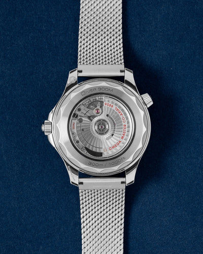 Omega Seamaster 210.30.42.20.01.018