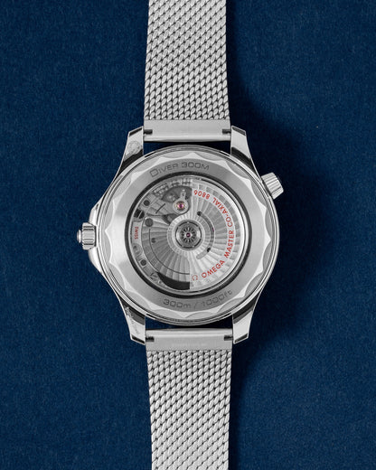 Omega Seamaster 210.30.42.20.01.018