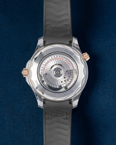 Omega Seamaster 210.22.42.20.01.002