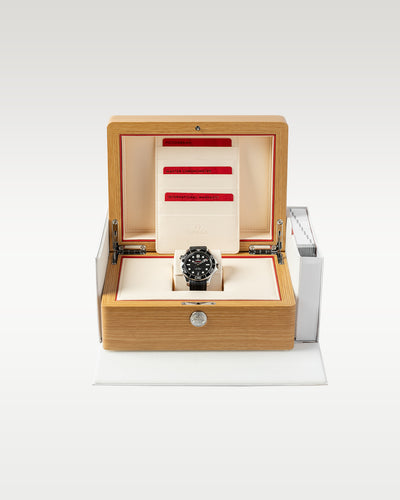 Omega Watches-Omega Seamaster 21032422001001