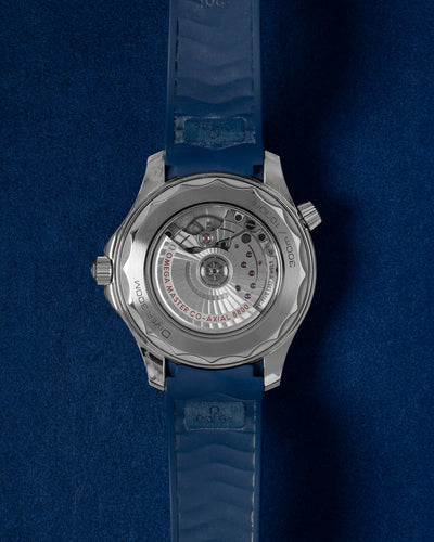 Omega Seamaster 21032422003001