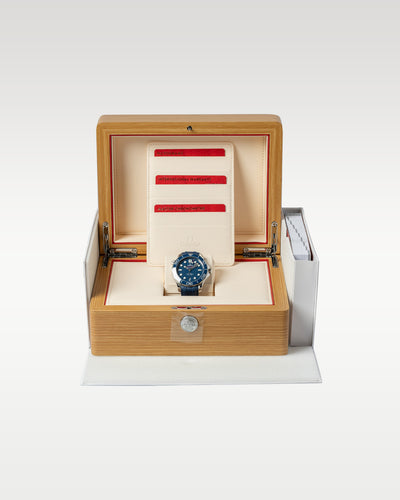 Omega Seamaster 21032422003001