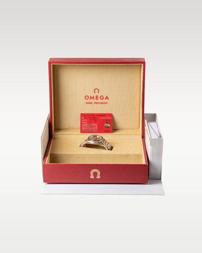 Omega Seamaster 300 234.10.39.20.01.001