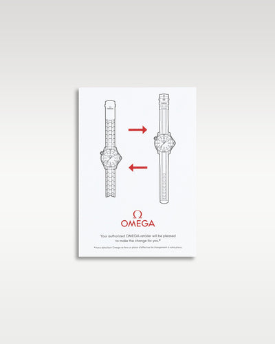 Omega Seamaster Aqua Terra 150m 220.12.41.21.02.004