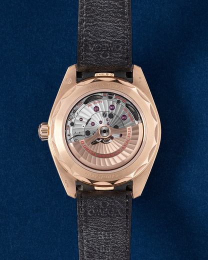 Omega Seamaster Aqua Terra 150M Master Chronometer GMT | Grand Caliber