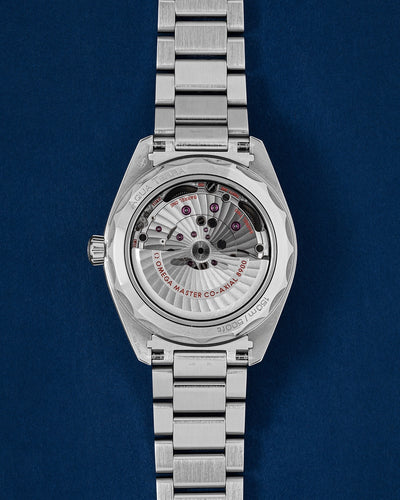 Omega Seamaster Aqua Terra 220.10.41.21.03.001