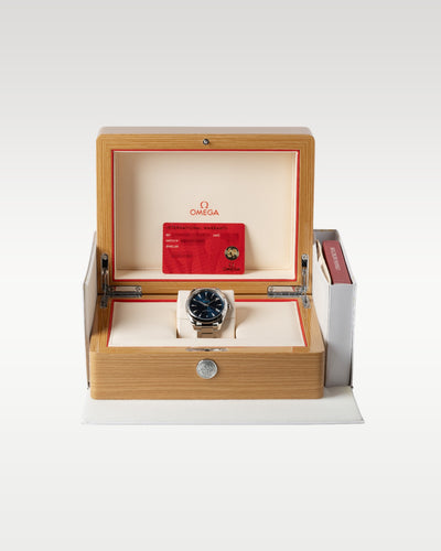 Omega Seamaster Aqua Terra 220.10.41.21.03.001