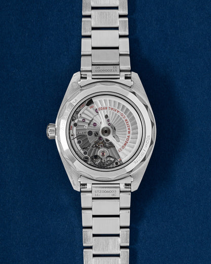 Blue Omega Seamaster Aqua Terra 41 220.10.41.21.03.002 | Grand Caliber