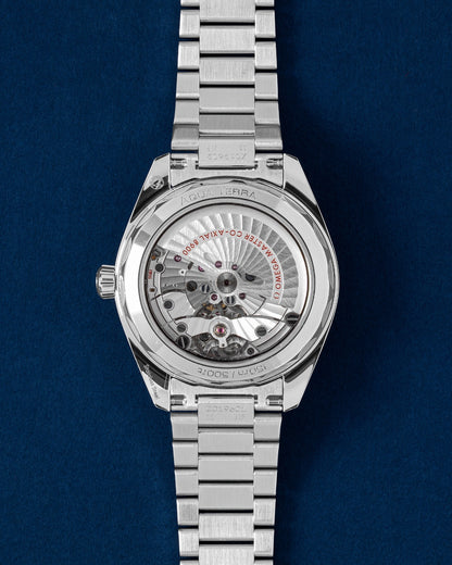 Omega Seamaster Aqua Terra 220.10.41.21.03.006