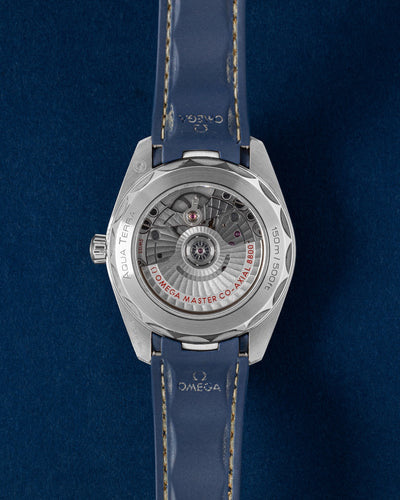 Omega Seamaster Aqua Terra 220.12.38.20.03.001 | Grand Caliber