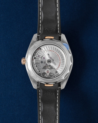 Omega Seamaster Aqua Terra 220.22.41.21.02.001 | Grand Caliber