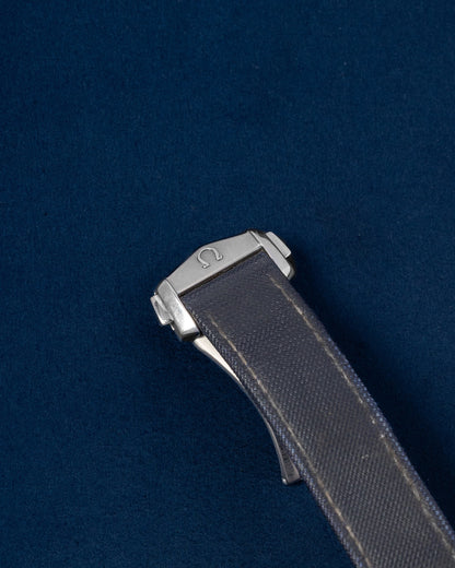 GoodPlanet x Omega Seamaster Aqua Terra 231.92.39.21.04.001 | Grand Caliber Dallas, Texas