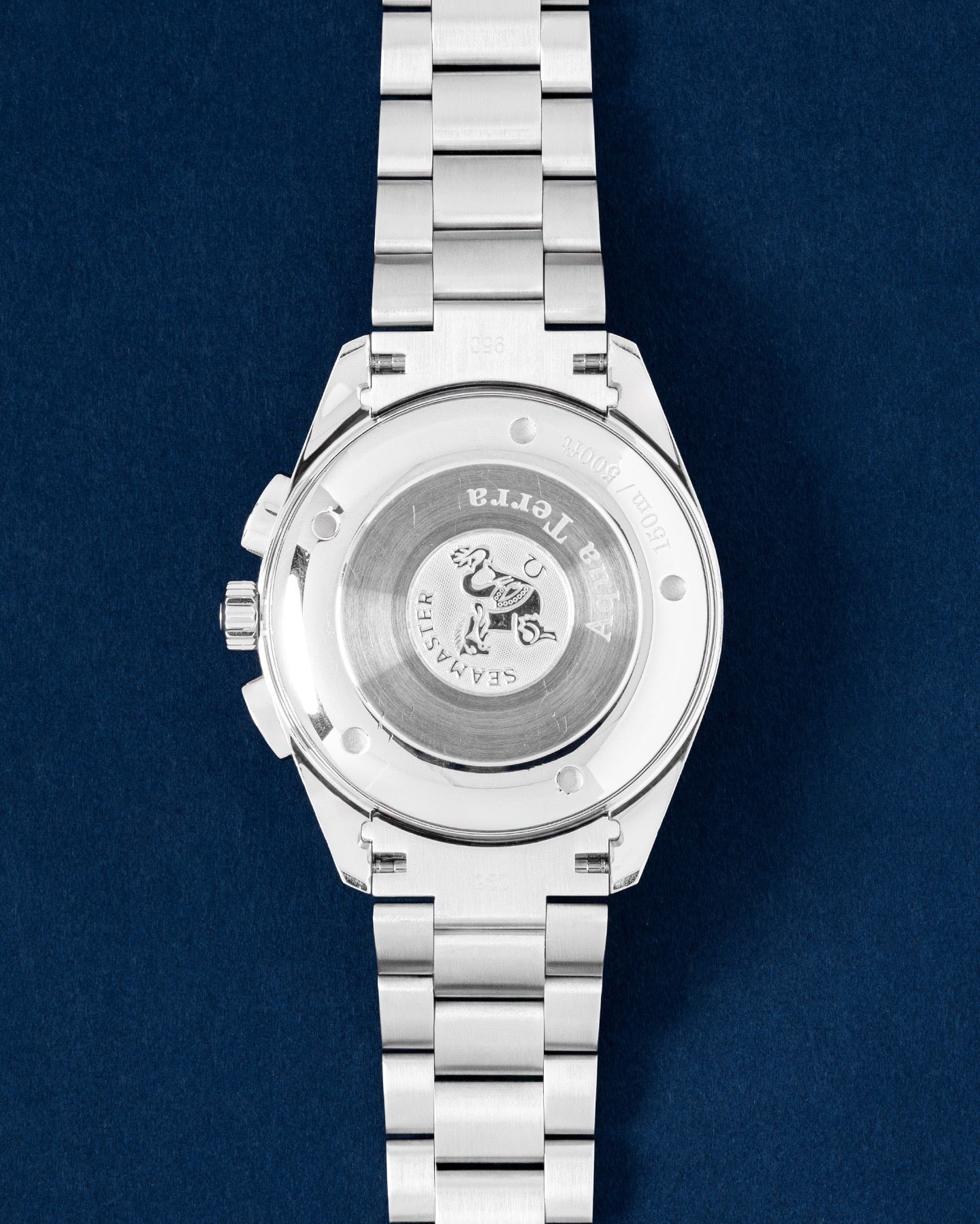 42.4MM Omega Seamaster Aqua Terra 2512.30.00 | Grand Caliber Watches