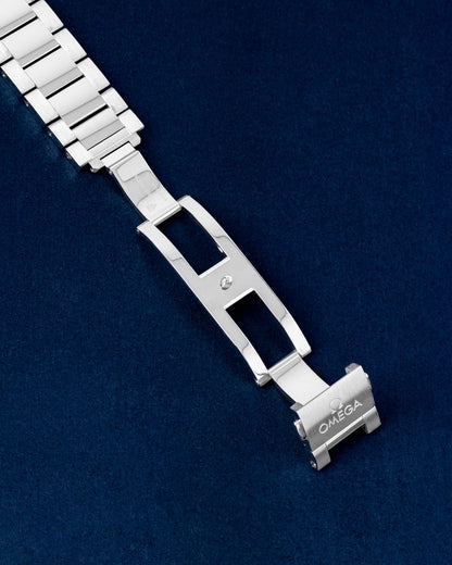 Omega Seamaster Aqua Terra Master Chronometer 220.10.38.20.01.001 | Grand Caliber Dallas, Texas