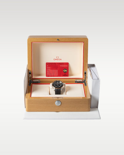 Omega Seamaster Diver 300M 210.22.42.20.01.002 | Grand Caliber DFW