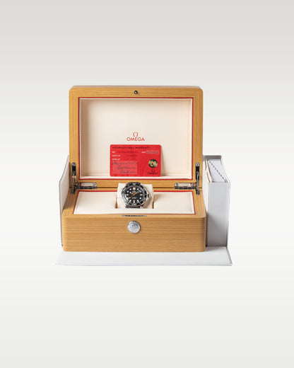 Omega Seamaster Diver 300M 210.30.42.20.01.018