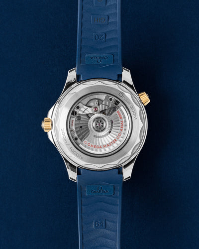 Omega Seamaster Diver 300 M 210.22.42.20.03.001