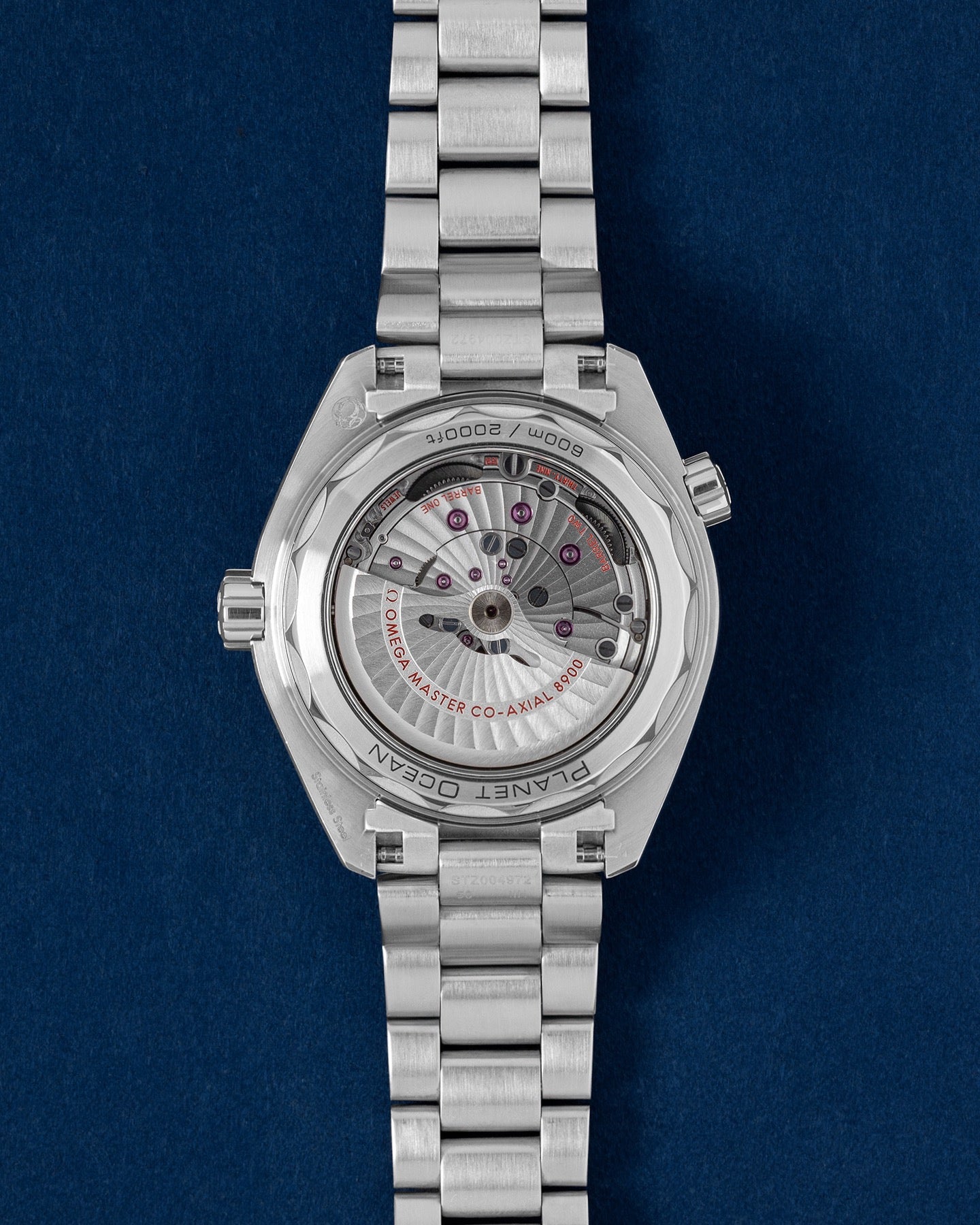 2025 Omega Seamaster Planet Ocean 21530442101001 | Grand Caliber Watches