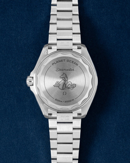 Omega Seamaster Planet Ocean 600M 217.30.42.21.01.002 | Grand caliber Texas