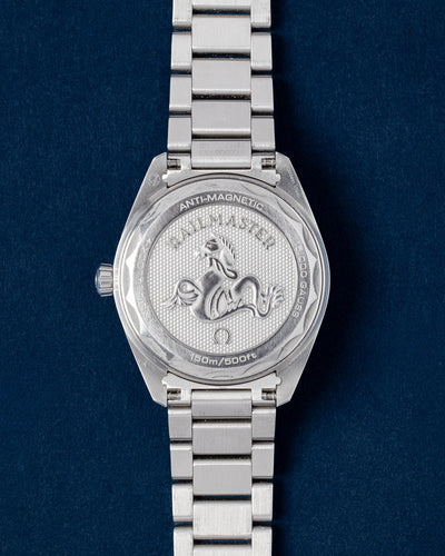 Omega Seamaster Railmaster 40 220.10.40.20.06.001 | Grand Caliber TX