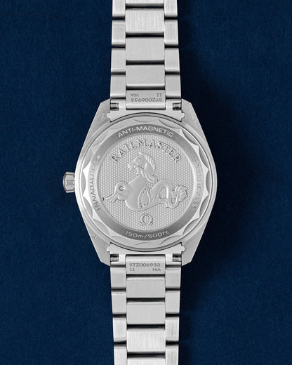 silver dial Omega Seamaster Railmaster 220.10.40.20.06.001 | Grand Caliber USA