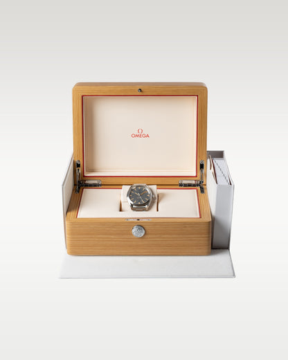 silver dial Omega Seamaster Railmaster 220.10.40.20.06.001 | Grand Caliber USA
