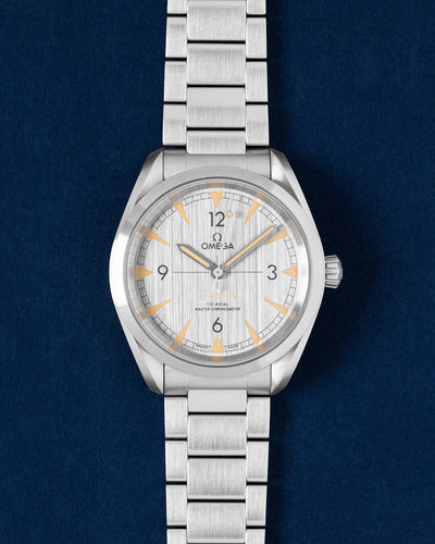 silver dial Omega Seamaster Railmaster 220.10.40.20.06.001 | Grand Caliber USA