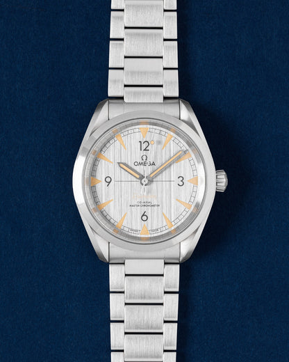 silver dial Omega Seamaster Railmaster 220.10.40.20.06.001 | Grand Caliber USA