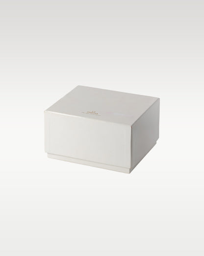 Omega Speedmaster Day Date 3521.30.00