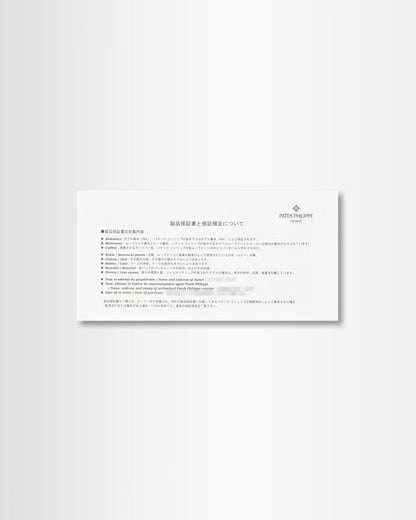 Platinum Patek Philippe Annual Calendar Chronograph 5905P-010 | Grand Caliber