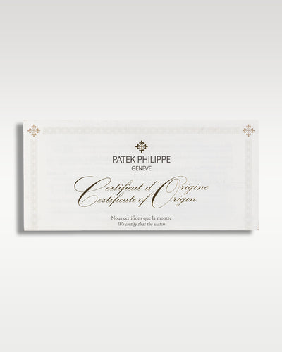 Platinum Patek Philippe Annual Calendar Chronograph 5905P-010 | Grand Caliber