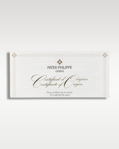 Platinum Patek Philippe Annual Calendar Chronograph 5905P-010 | Grand Caliber