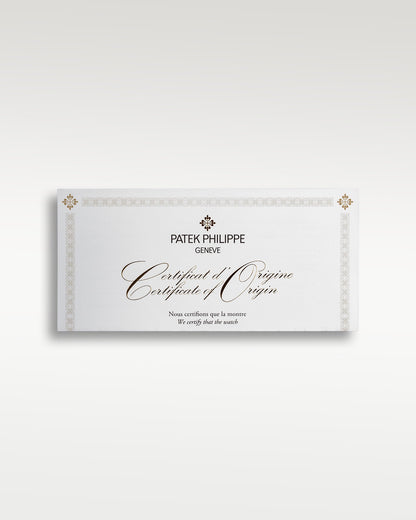 Rose Gold Patek Philippe Aquanaut Brown Dial 5164R-001 | Grand Caliber TX