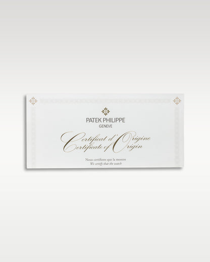 2019 Brown Patek Philippe Aquanaut 5167R-001 | Grand Caliber Watches