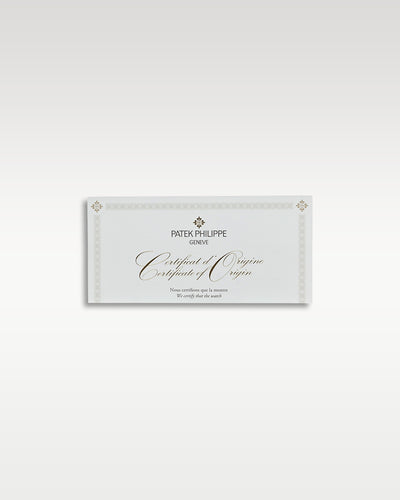 White Gold Patek Philippe Complications Rose-Gilt Opaline Dial | Grand Caliber TX
