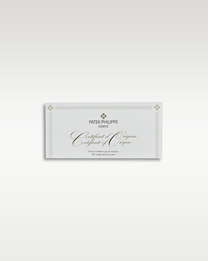 White Gold Patek Philippe Complications Rose-Gilt Opaline Dial | Grand Caliber TX