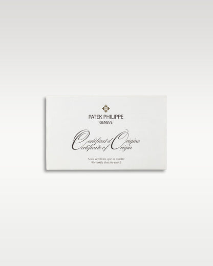 Patek Philippe Nautilus 5980/1A-001